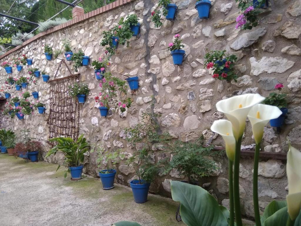 Séjour à la campagne Cortijo De Flores Cazorla *