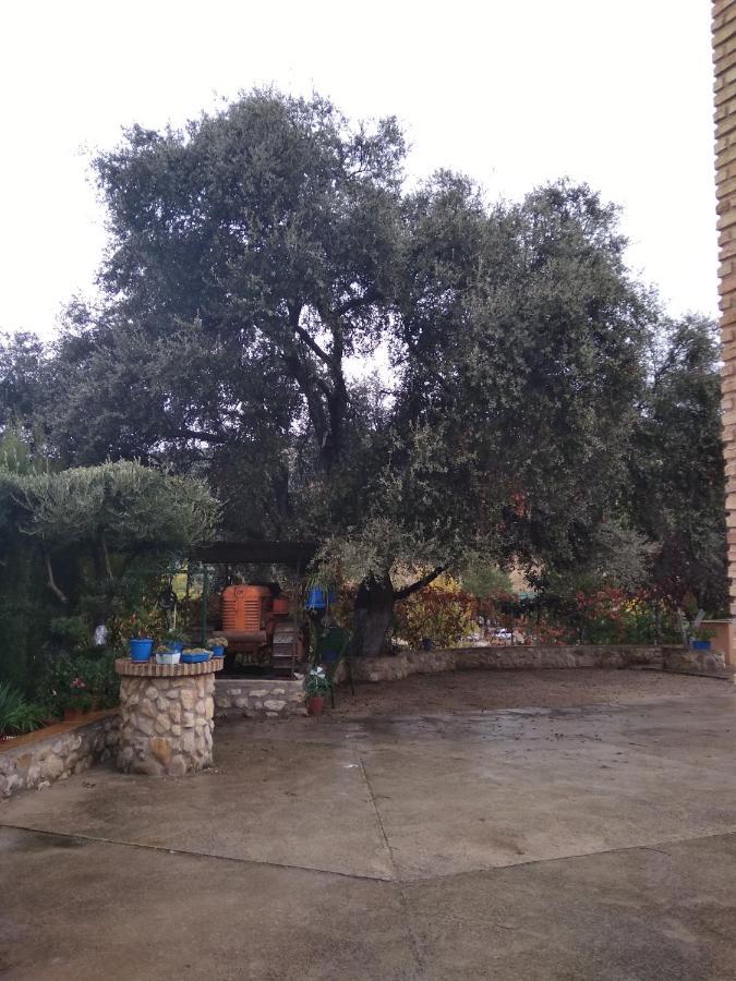 Cortijo De Flores Cazorla Country house